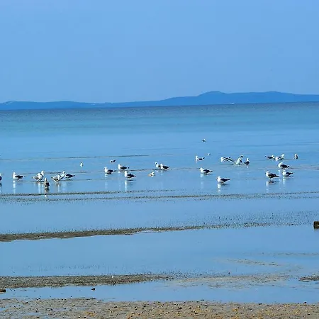Sea View Zaton (Zadar)